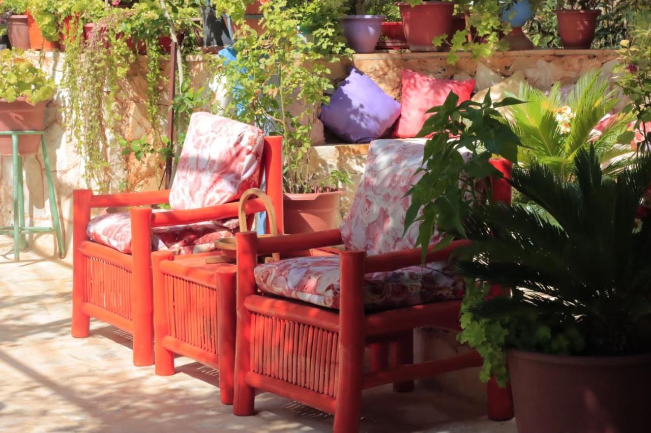 بيت الطبيعة Nature House Jarash Exterior foto