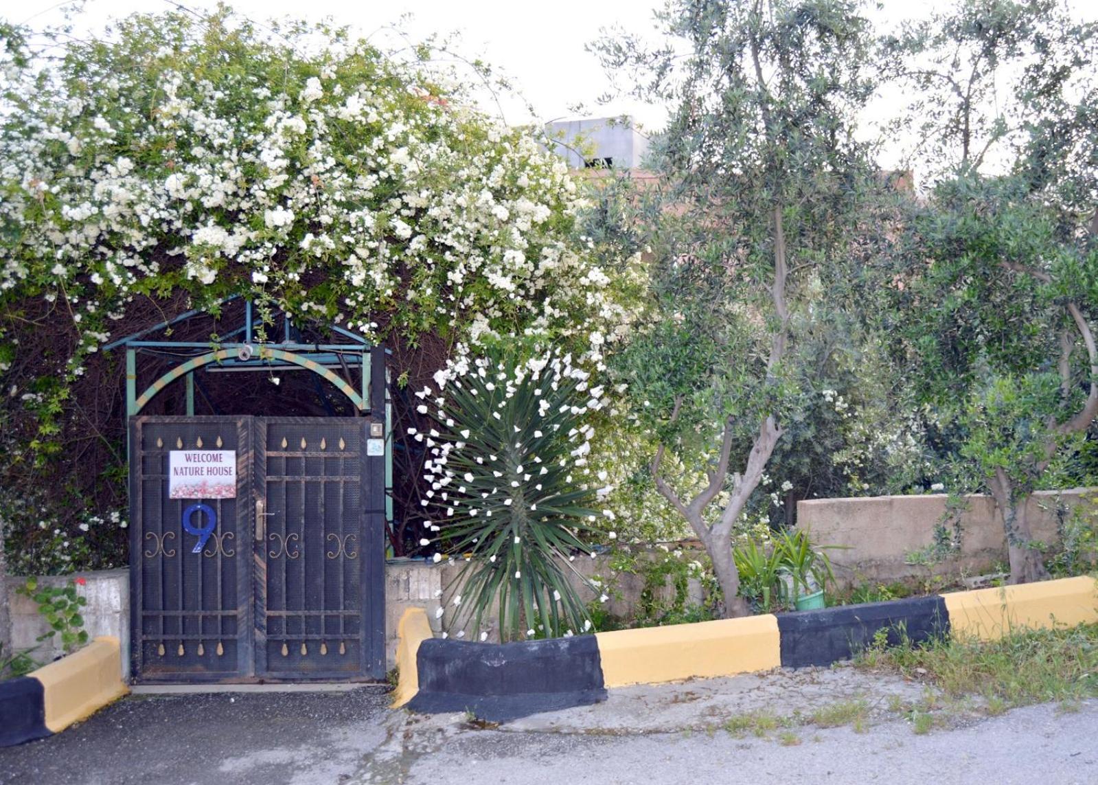 بيت الطبيعة Nature House Jarash Exterior foto